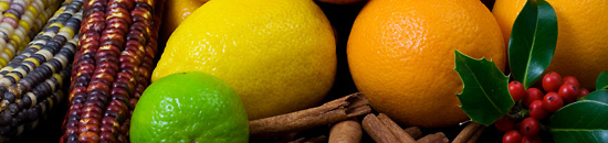 cc攻击免费网页版